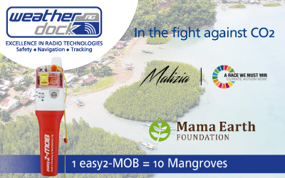 News Banner Malizia Mangroven Park