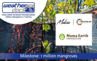 Milestone: 1 million mangroves planted in Malizia Mangrove Park