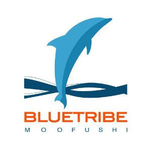 Logo Distributor Malediven BlueTribe quadrat