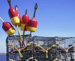 easyPOS'N'HOOK Titelbild