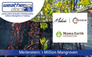 News Banner Meilenstein 1 Mio. Mangroven für den Malizia Mangroven Park von Boris Herrmann