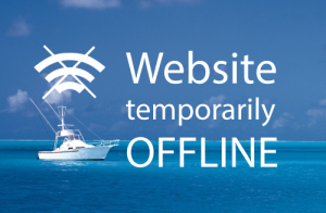 Banner Website temporarily offline